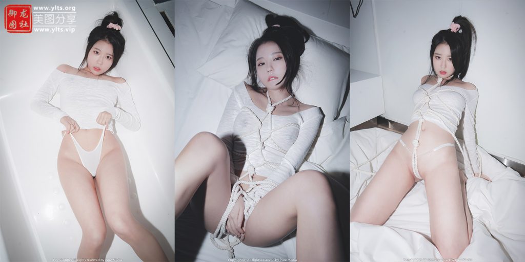 [Pure Media] Vol.051 - Ayul 87P-御龙图社